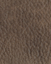 Load image into Gallery viewer, Alzena - Gunsmoke - Reclining Sofa