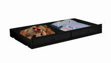 Load image into Gallery viewer, Chapman Collection - Chapman Storage Trundle Black