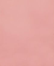 Load image into Gallery viewer, Sweetheart Tent Bed - Pink - Sweetheart Tent Loft Bed Pink And White