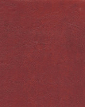 Load image into Gallery viewer, Vacherie - Salsa - Reclining Sofa