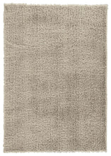 Load image into Gallery viewer, Jumeaux - Beige - Medium Rug
