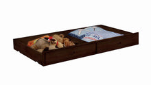 Load image into Gallery viewer, Dublin Bunk Bed - Dublin Storage Trundle Cappuccino
