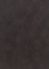 Load image into Gallery viewer, Boston Motion Collection - Two Tone Brown - Boston Double Reclining Loveseat