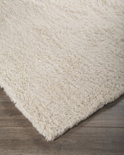 Load image into Gallery viewer, Alonso - Ivory - Medium Rug
