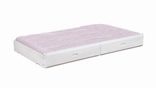 Load image into Gallery viewer, Chapman Collection - Chapman Storage Trundle White